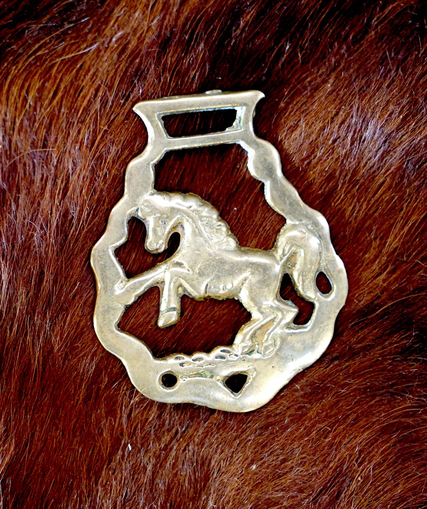 Brass Horse Bottle Opener