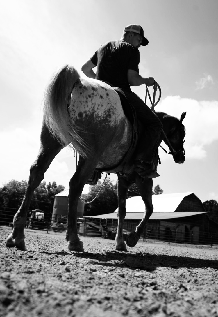 Cowboys