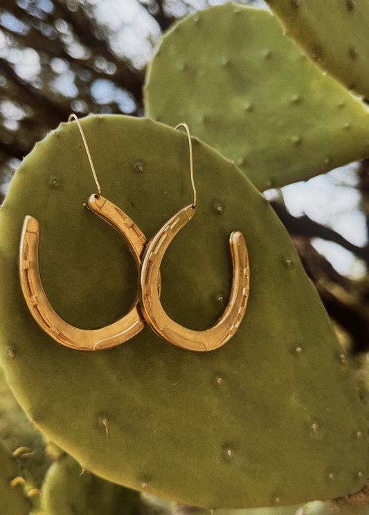 "Lucky You" Earrings