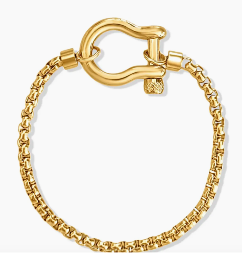 Horse Bit Carabiner Bracelet- Steel - Charm Bracelet 14K Pvd