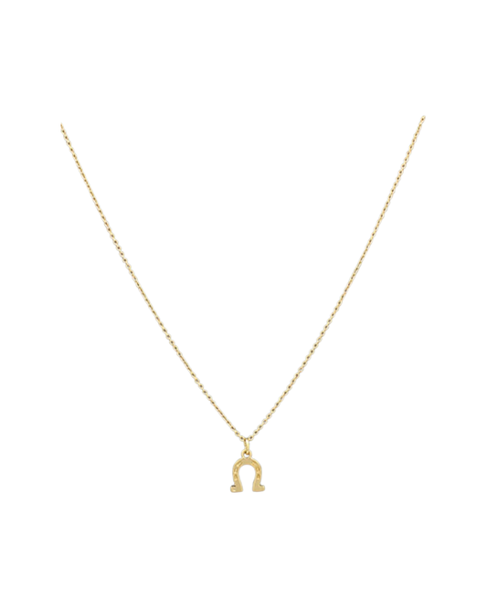 Horseshoe Necklace